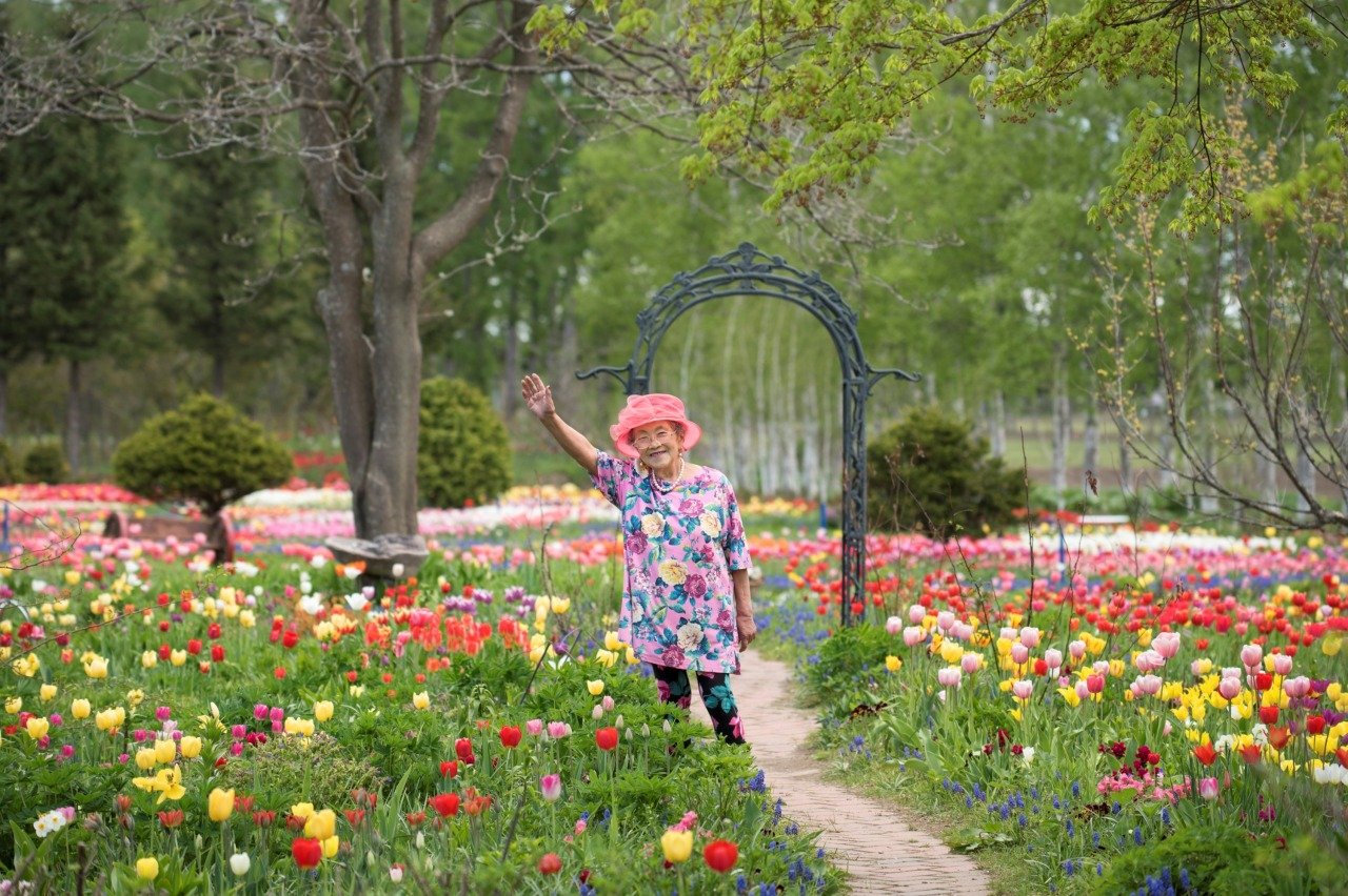 🌸 시치쿠 가든
